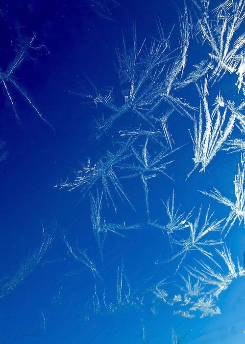 Frost Greeting Card featuring the photograph Frost on a window by Sven Brogren