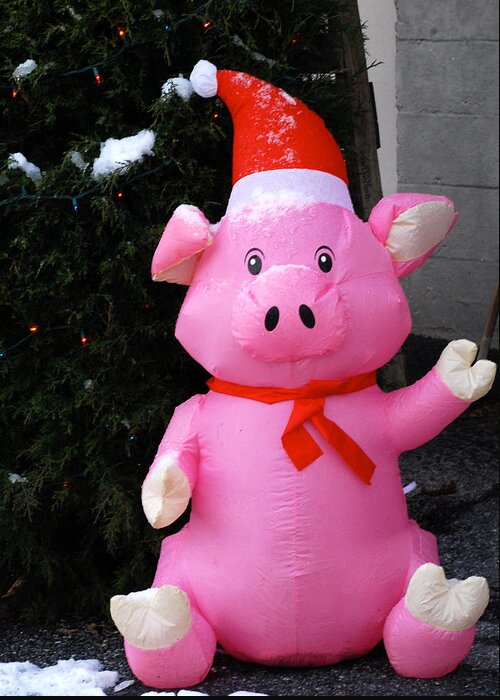  Greeting Card featuring the photograph Frosty The Pig by Gregory Blank