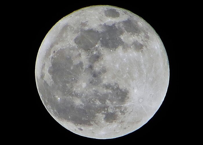 Moon Greeting Card featuring the photograph Full Moon Over Florida by Tim Townsend