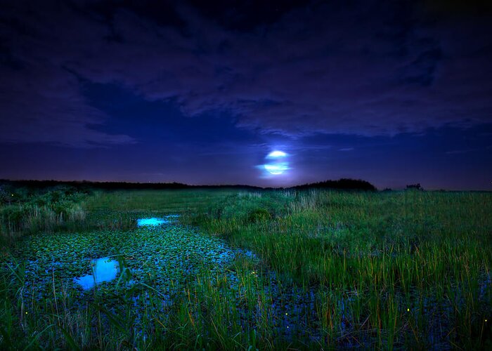 Full Moon Greeting Card featuring the photograph Full Moons And Fireflies by Mark Andrew Thomas