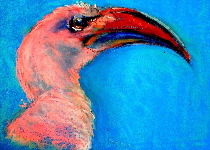 Art Greeting Card featuring the painting Funky Red-billed Hornbill Art Print by Sue Jacobi