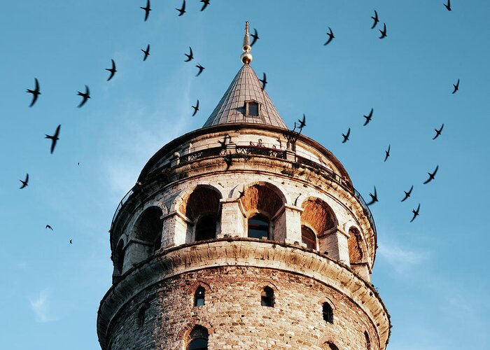 Istanbul Greeting Card featuring the photograph Galata Tower Surrounded By Birds At by Gary Yeowell