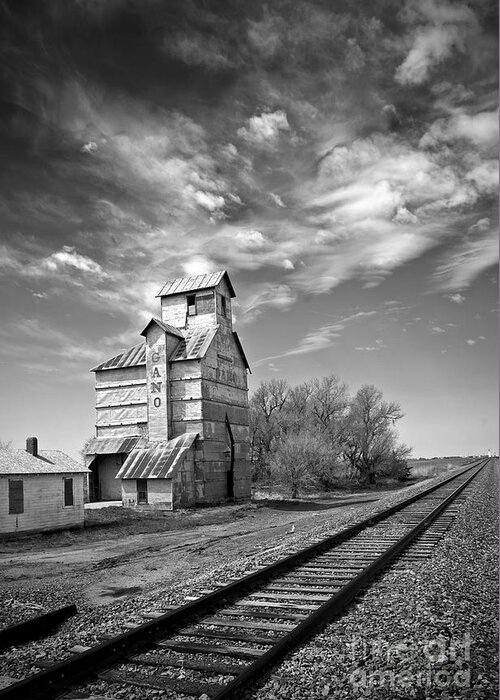 Kansas Greeting Card featuring the photograph Gano Elevator by Fred Lassmann