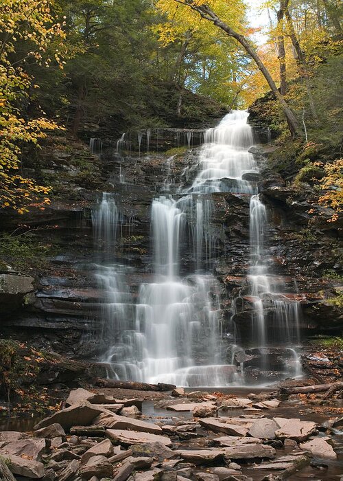 Ganoga Falls Greeting Card featuring the photograph Ganoga Decorated With Gold by Gene Walls