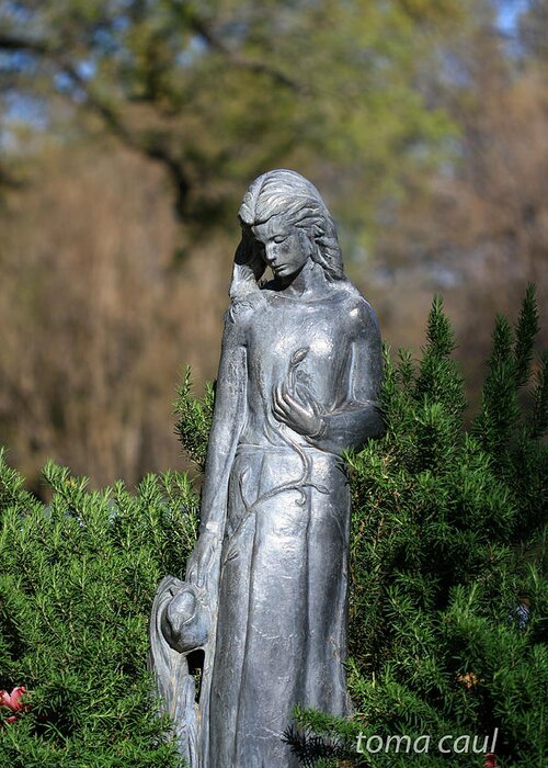 Statue Greeting Card featuring the photograph Garden Maiden by Toma Caul