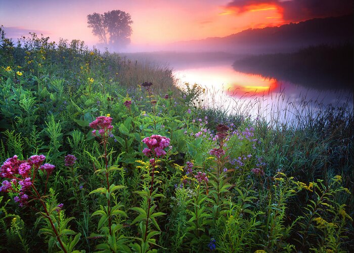Sunset Greeting Card featuring the photograph Garden on the Creek by Ray Mathis