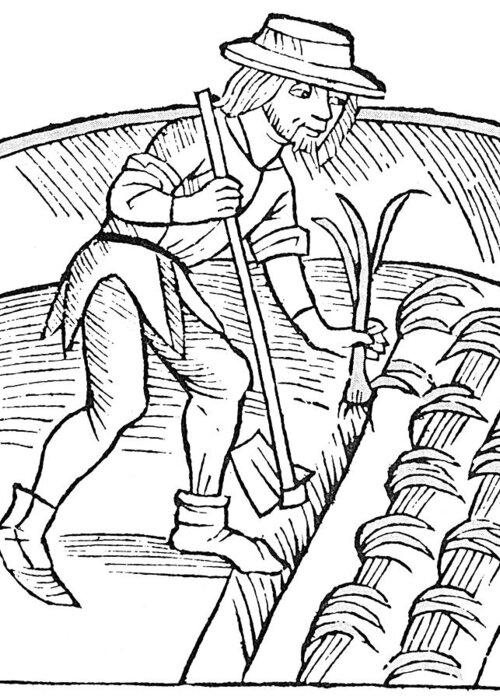 1512 Greeting Card featuring the drawing Gardener Planting Leeks by Granger