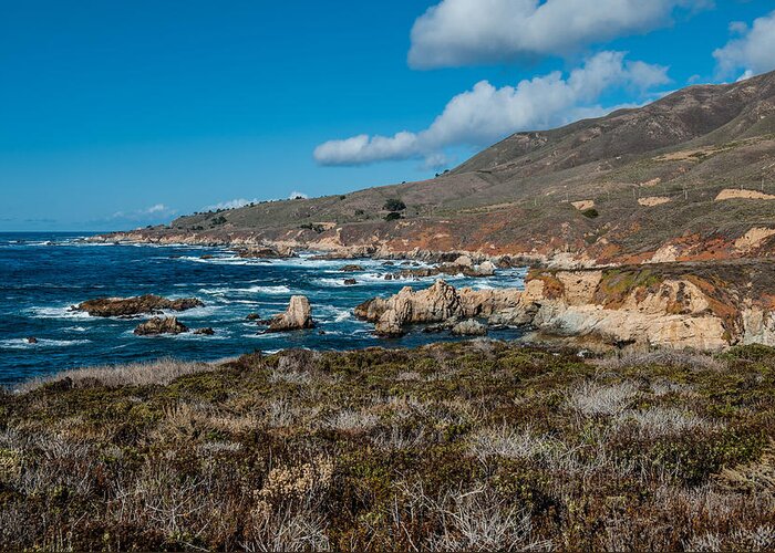 Big Sur Greeting Card featuring the photograph Garrapata State Park by George Buxbaum