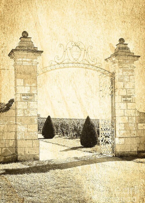 Gate Greeting Card featuring the photograph Gateway Into The Garden by Heiko Koehrer-Wagner