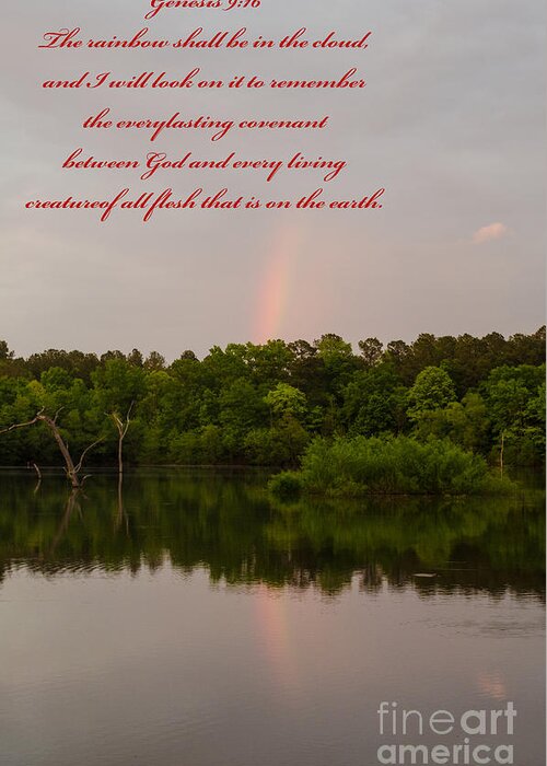 Scripture Greeting Card featuring the photograph Genesis 9 16 by Donna Brown