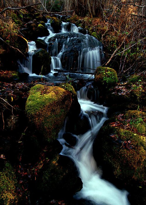 Stream Greeting Card featuring the photograph Gentle Descent by Jeremy Rhoades