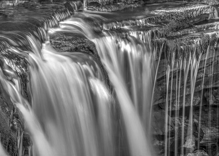 Ricketts Glen Greeting Card featuring the photograph Gentle Falls in BW by Paul W Faust - Impressions of Light