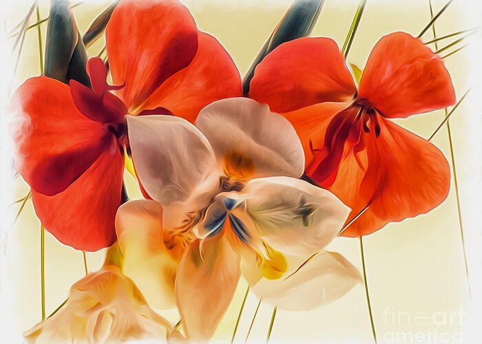 Floral Greeting Card featuring the photograph Gentle Montage by Barry Weiss