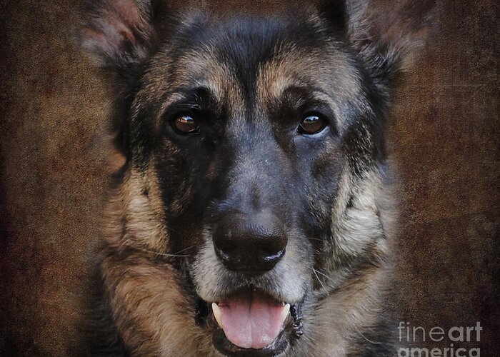 Animal Greeting Card featuring the photograph German Shepherd Dog by Jai Johnson