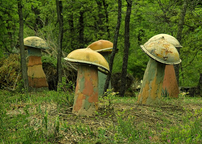 Mushroom Greeting Card featuring the photograph Giant Mushroom Forest by Tony Grider