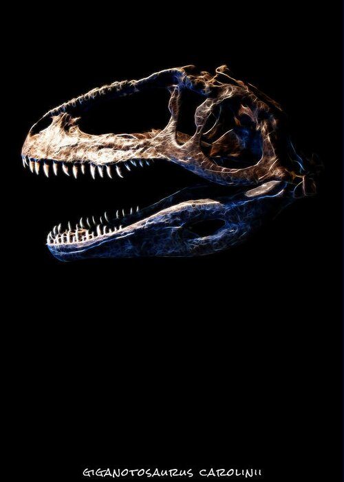 Giganotosaurus Carolinii Skull Greeting Card featuring the photograph Giganotosaurus Skull 2 by Weston Westmoreland