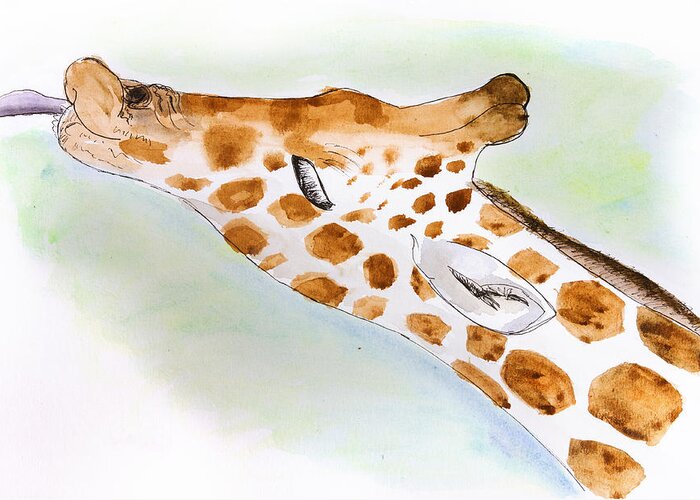 Watercolor Greeting Card featuring the painting Giraffe With Tongue Out by Pati Photography