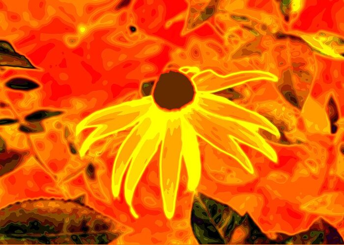Black-eyed Susan Greeting Card featuring the photograph Glowing Embers by Laureen Murtha Menzl