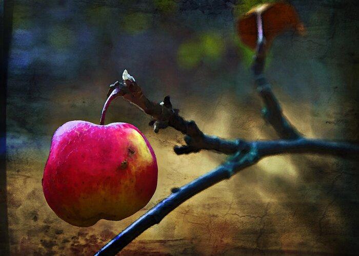 Apple Greeting Card featuring the photograph Go On Dearie Take A Bite by Theresa Tahara