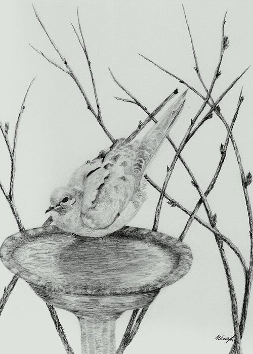 Bird Greeting Card featuring the drawing Going In by Wendy Brunell