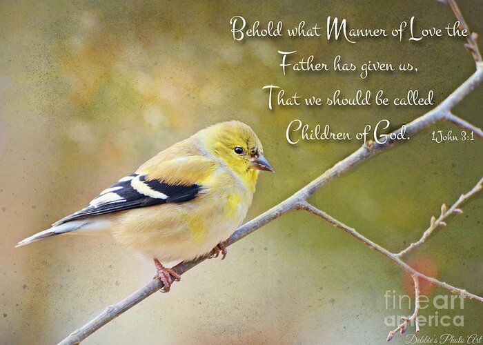 Finch Greeting Card featuring the photograph Gold Finch on Twig with verse by Debbie Portwood