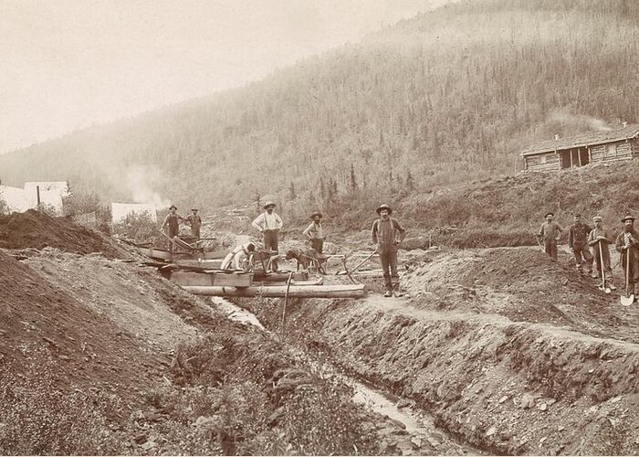 Human Greeting Card featuring the photograph Gold Mining In California by Library Of Congress