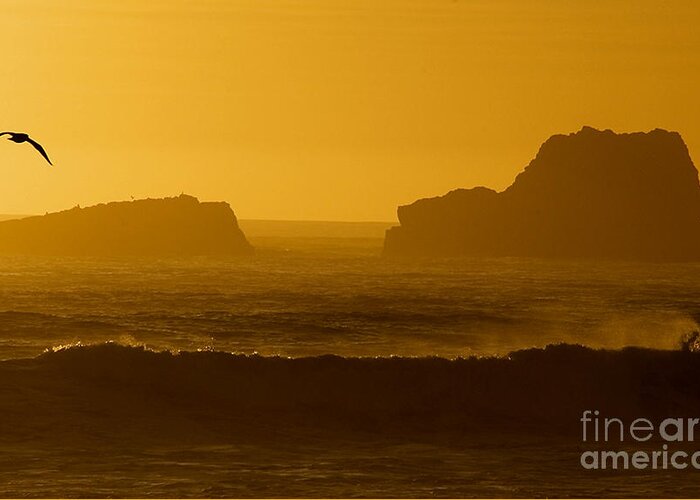 Piedras Blancas Greeting Card featuring the photograph Golden Coast by Kathleen Gauthier