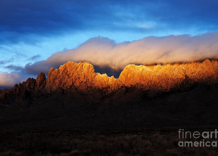 Las Cruces Greeting Card featuring the photograph Golden Light by Vivian Christopher