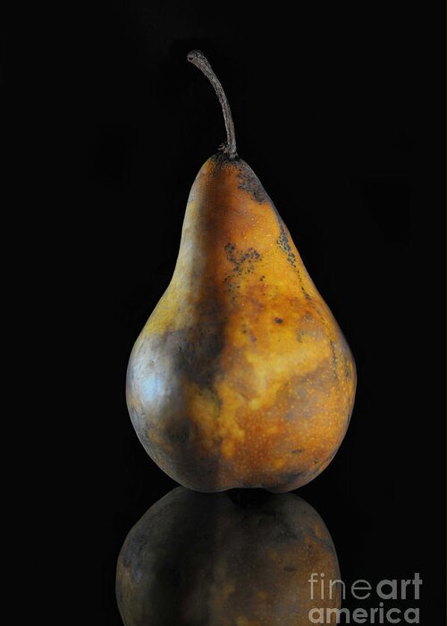 Pear Greeting Card featuring the photograph Golden Pear by Dan Holm