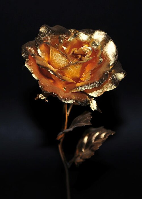 Gold Greeting Card featuring the photograph Golden Rose by Dragan Kudjerski