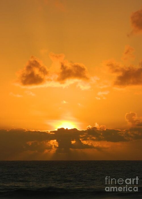 Sunset Greeting Card featuring the photograph Golden Sunset by Gallery Of Hope 