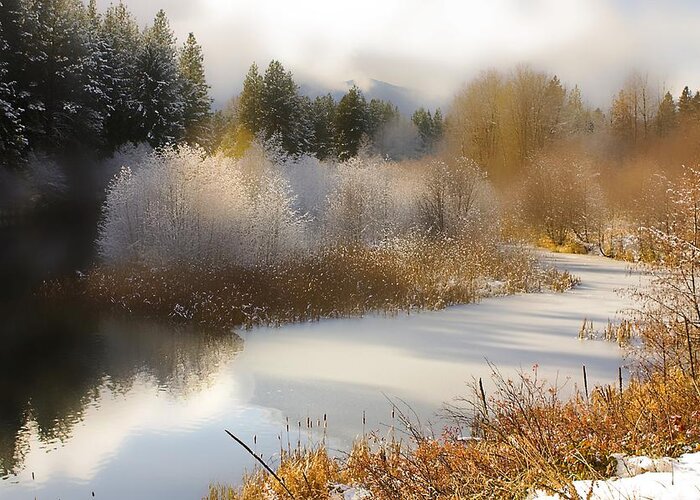 Winter Greeting Card featuring the photograph Golden Winter by Sonya Lang