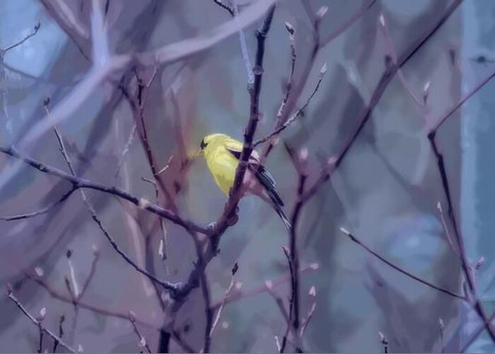 Goldfinch Greeting Card featuring the photograph Goldfinch in the Woods 2 by Henry Kowalski