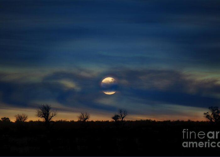 Full Moon Greeting Card featuring the photograph Good Moon Rising by Lee Craig