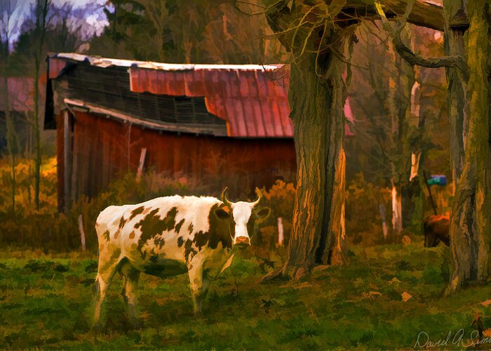 Cow Greeting Card featuring the digital art Got Mail? by David Simons