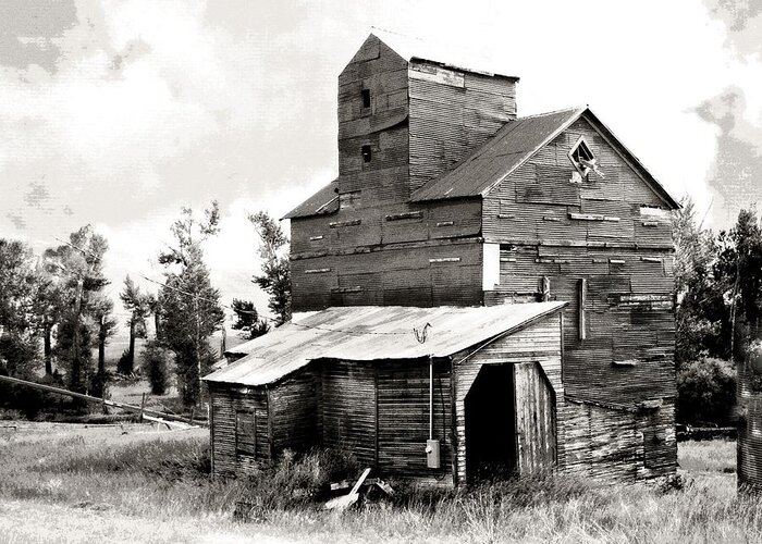 Old Building Greeting Card featuring the photograph Grain Elevator BW by Marty Koch