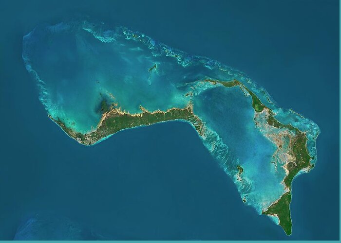 Satellite Image Greeting Card featuring the photograph Grand Bahama And Abaco Islands by Planetobserver/science Photo Library