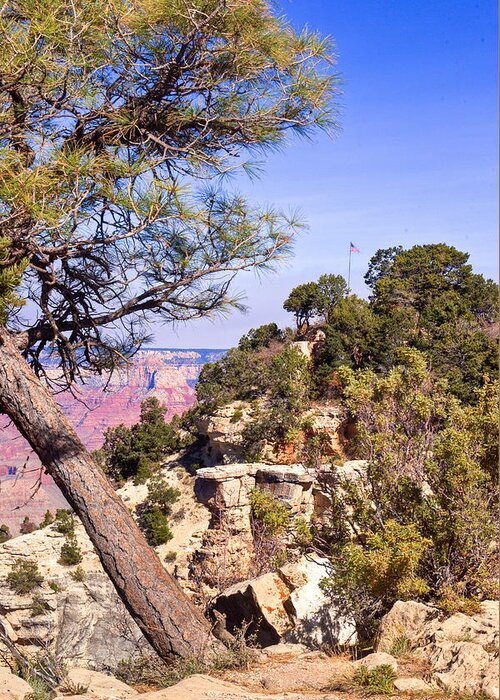 Grand Greeting Card featuring the photograph Grand Canyon 40 by Douglas Barnett