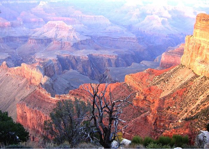 Grand Canyon Greeting Card featuring the photograph Grand Canyon 67 by Will Borden