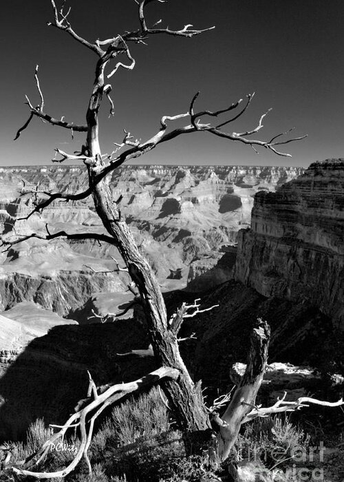 Grand Canyon Bw Greeting Card featuring the photograph Grand Canyon BW by Patrick Witz