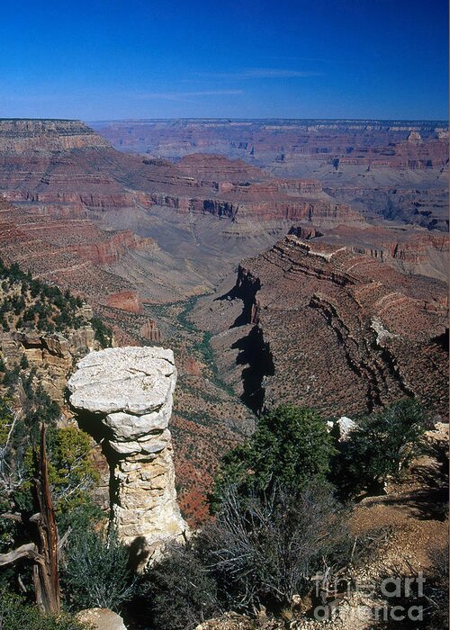 Grand Canyon National Park Greeting Card featuring the photograph Grand Canyon Near Mather Point by Gregory G. Dimijian, M.D.