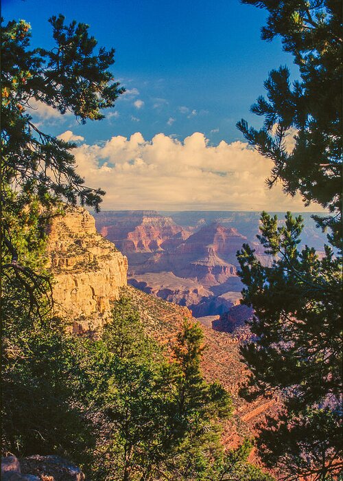 South Rim Greeting Card featuring the photograph Grand Canyon Vista by David Drew