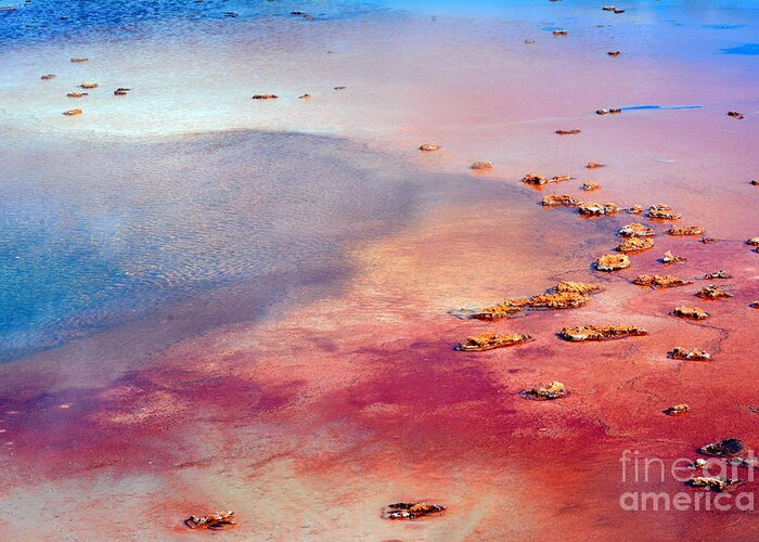 Grand Prismatic Spring Greeting Card featuring the photograph Grand Prismatic Spring by John Greco