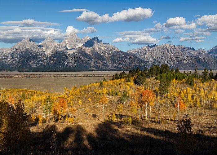 Grand Teton National Park Greeting Card featuring the photograph Grand Tetons in Autumn by Kathleen Bishop