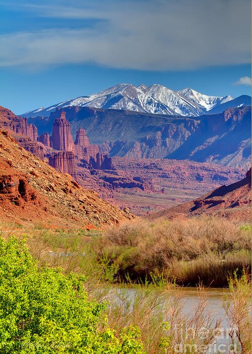 Colorado River Greeting Card featuring the photograph Grand Views by Sue Karski