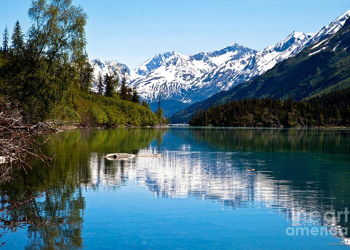 Alaska Greeting Card featuring the photograph Grant Lake by Chris Heitstuman
