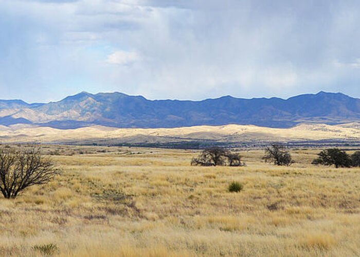 Desert Greeting Card featuring the photograph Grassland San Rafael Valley by Alan Lenk