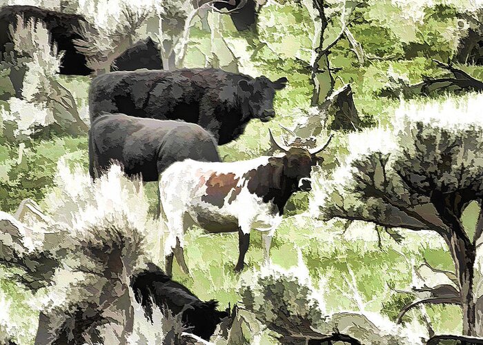 Weber Canyon Greeting Card featuring the photograph Grazing Cattle by Ely Arsha