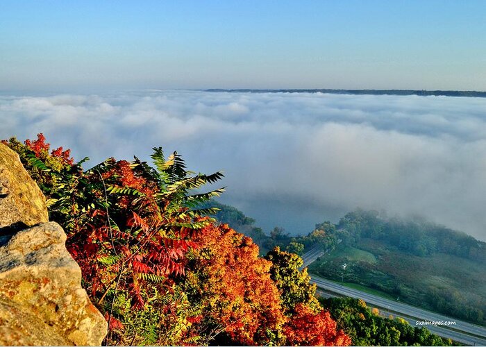 Great River Road Greeting Card featuring the photograph Great River Road Fog by Susie Loechler