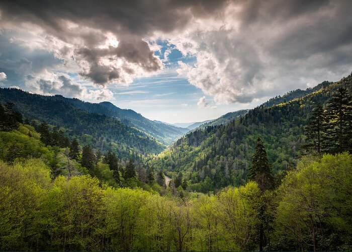 Great Smoky Mountains Greeting Card featuring the photograph Great Smoky Mountains Landscape Photography - Spring at Mortons Overlook by Dave Allen